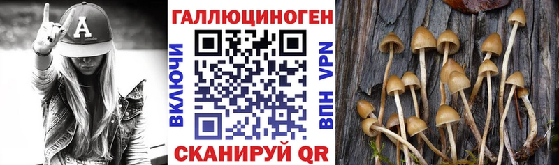 Псилоцибиновые грибы прущие грибы  продажа наркотиков  ОМГ ОМГ онион  Алдан 