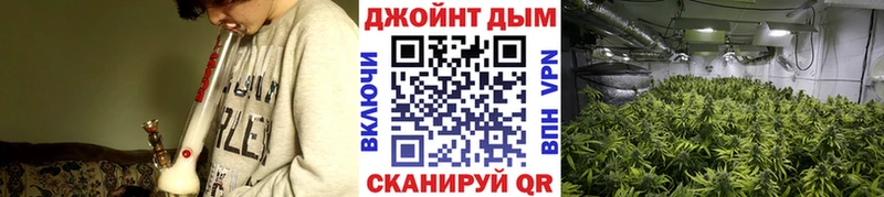 Бошки Шишки ГИДРОПОН Алдан